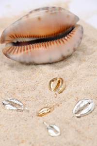 Coastal Cowry Necklace | Gold Vermeil