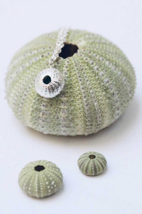 Sea Urchin | Sterling Silver