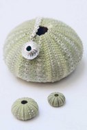 Sea Urchin | Sterling Silver