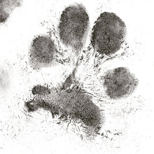 The Summer  - 18mm Paw Print and Name Pendant
